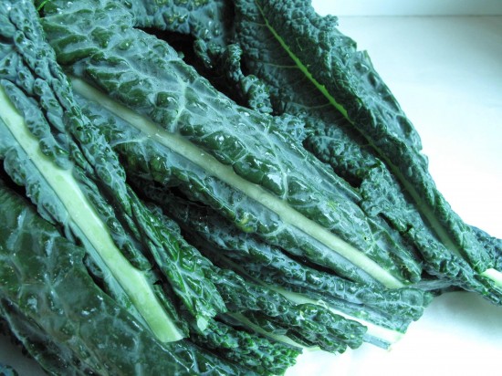 lacinato kale