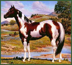 yeah, not quite boot-size but  you've got to dream big...  