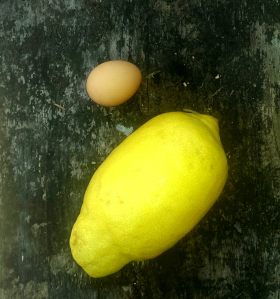the egg is for scale.  and for the lemon curd.